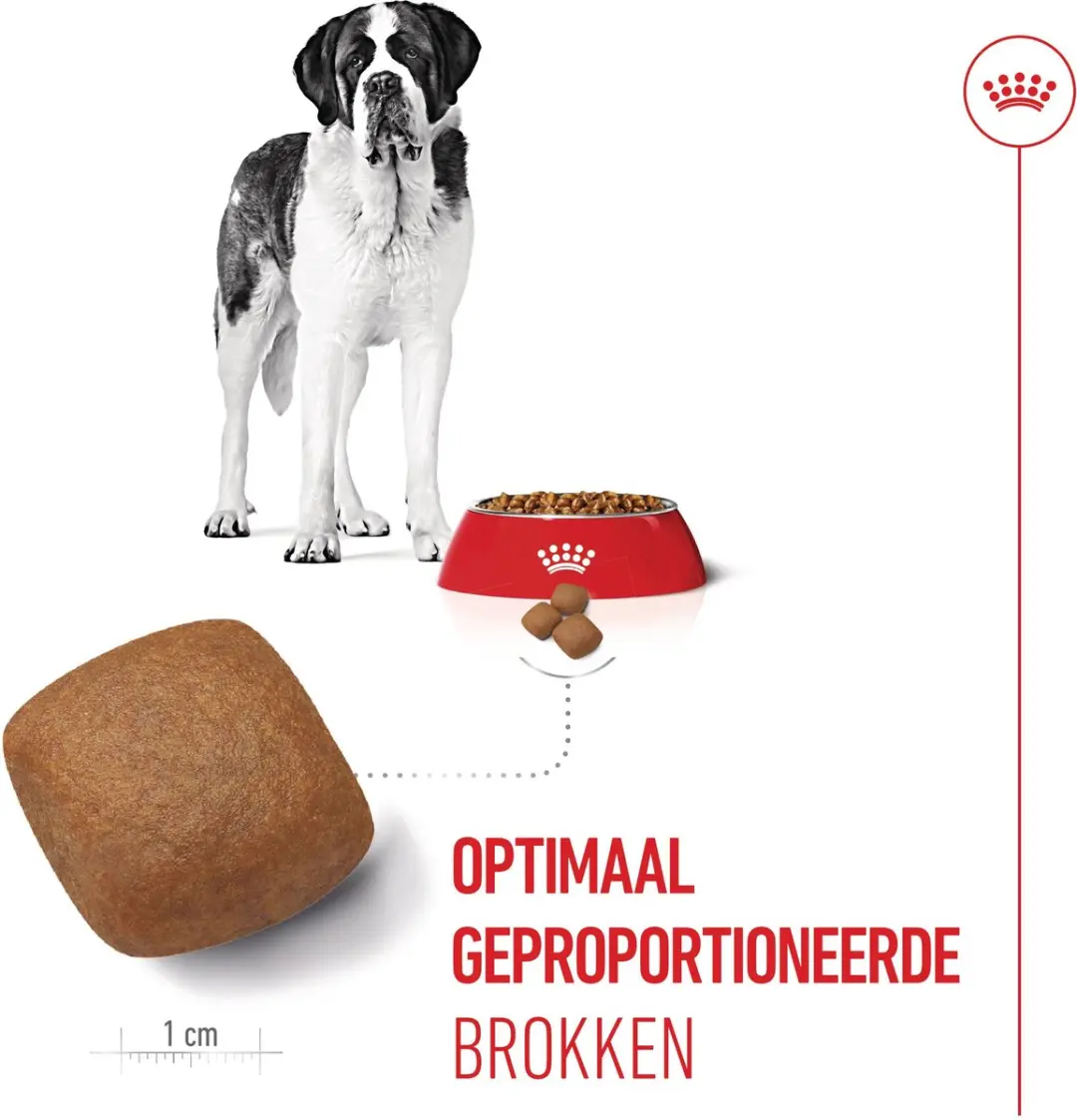 Royal Canin Giant Junior Hondenvoer - 15 kg