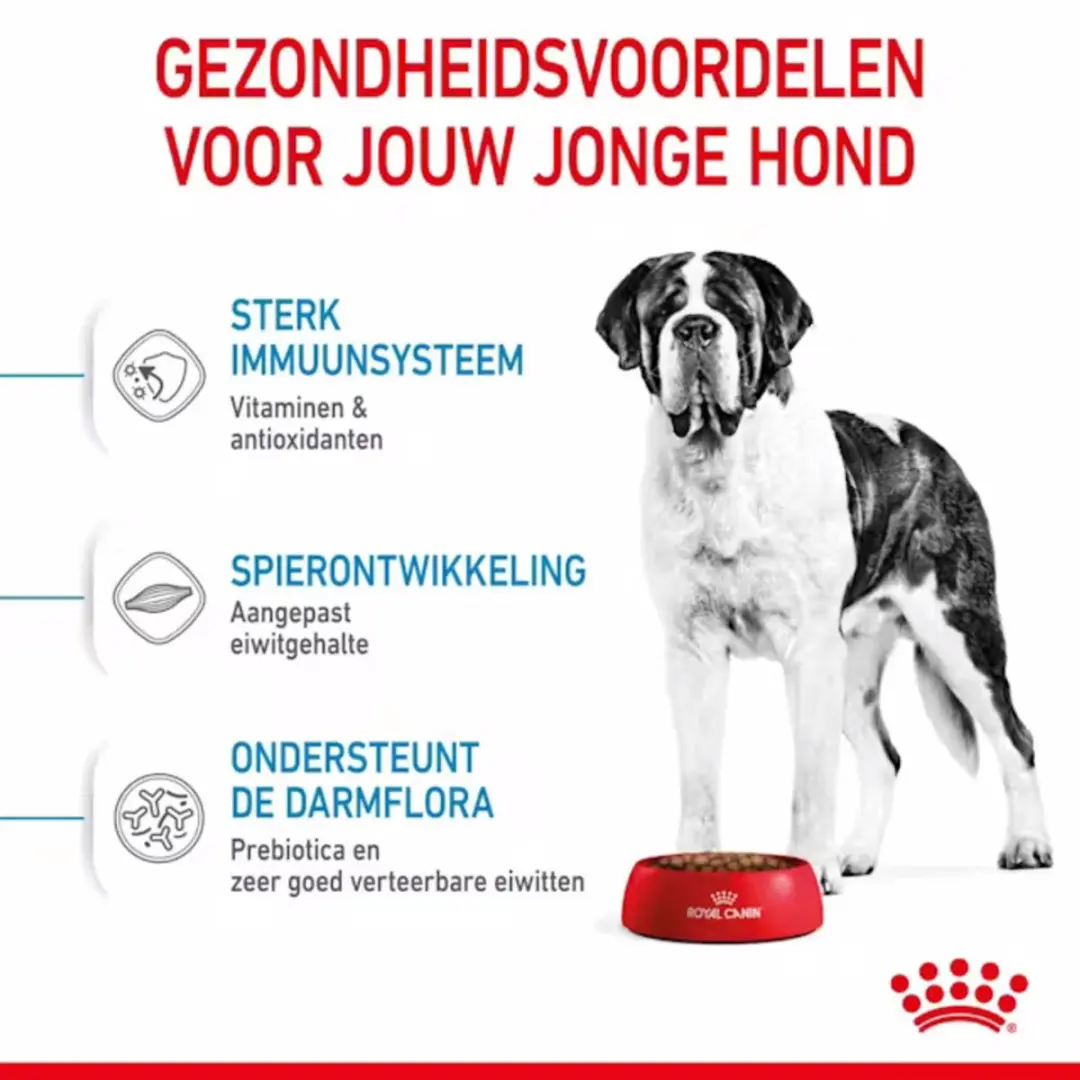 Royal Canin Giant Junior Hondenvoer - 15 kg