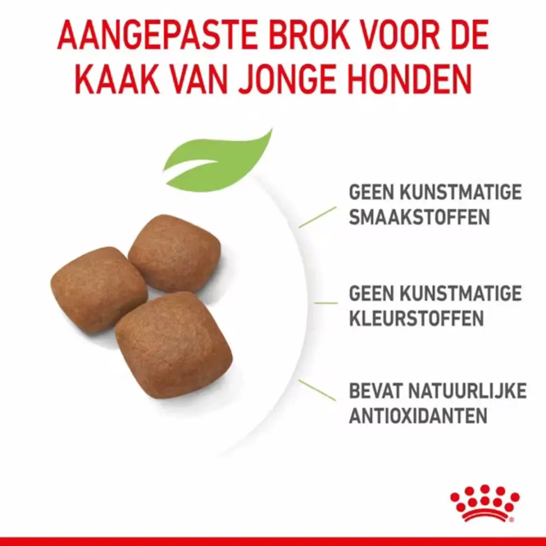 Royal Canin Giant Junior Hondenvoer - 15 kg - afbeelding 6 van 6