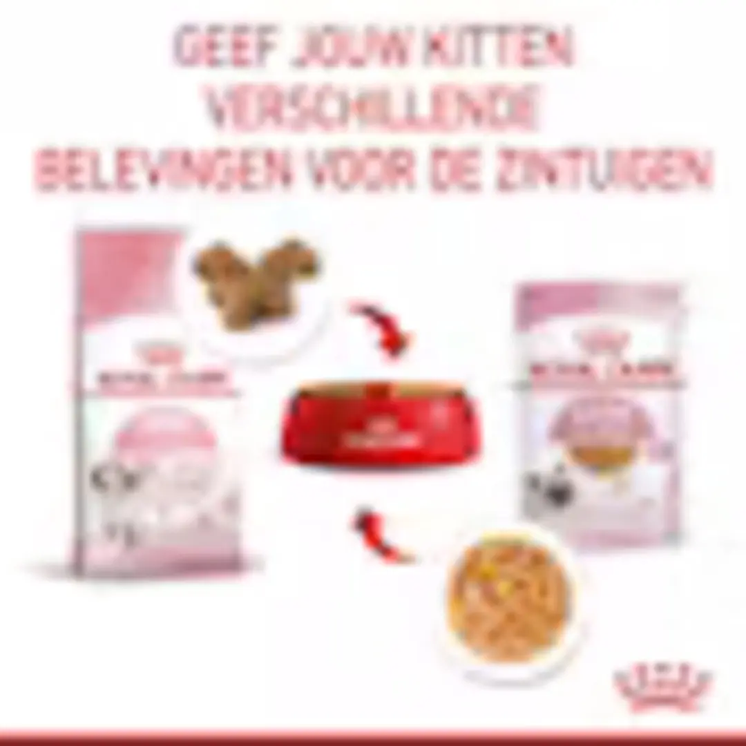 Royal Canin Kitten Jelly Natvoer - 48x85g