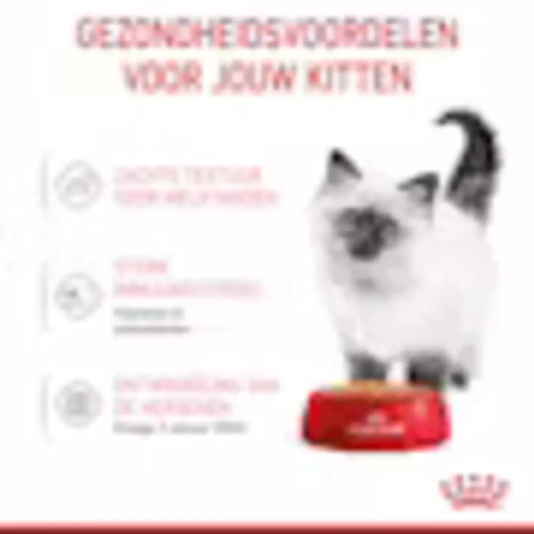 Royal Canin Kitten Jelly Natvoer - 48x85g