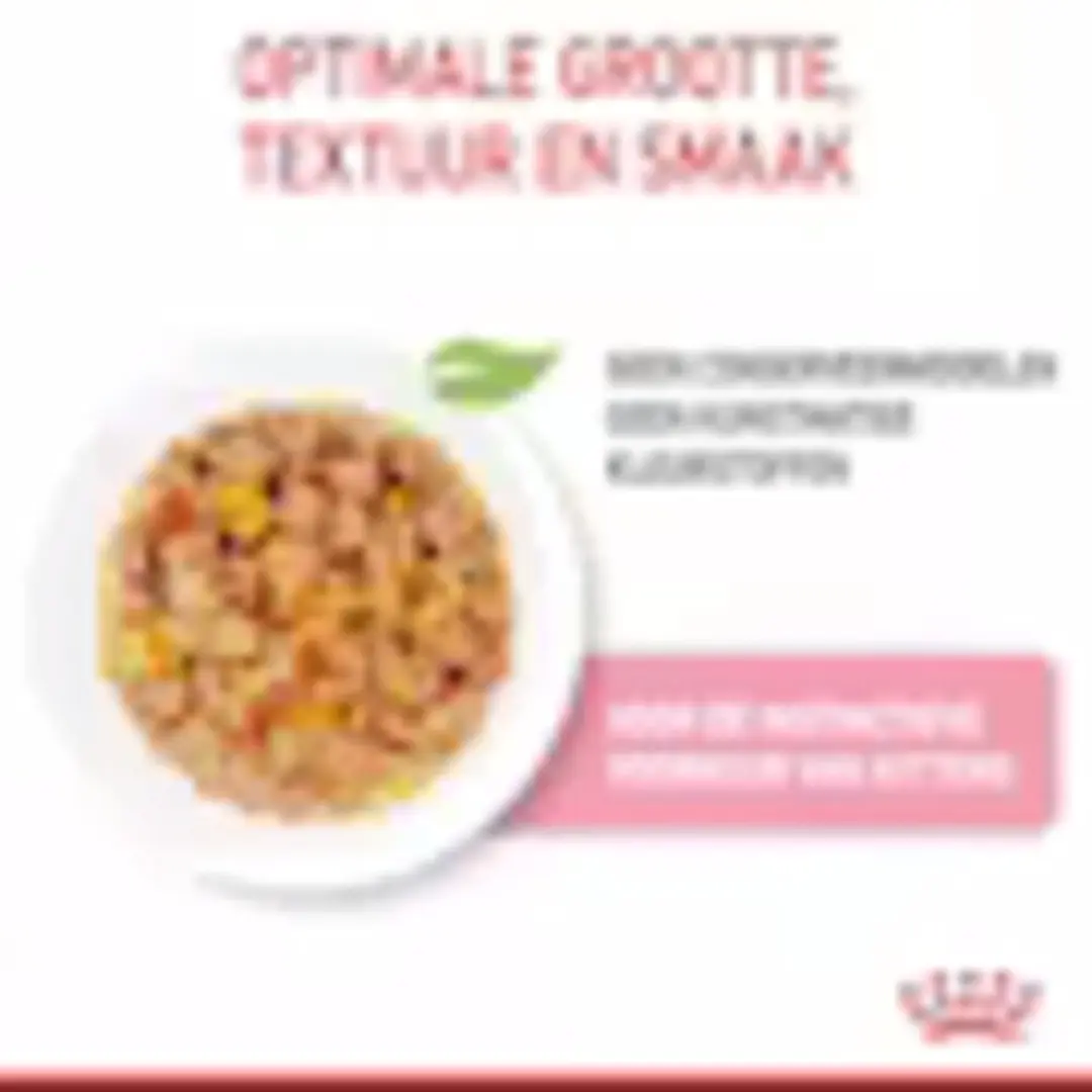 Royal Canin Kitten Jelly Natvoer - 48x85g