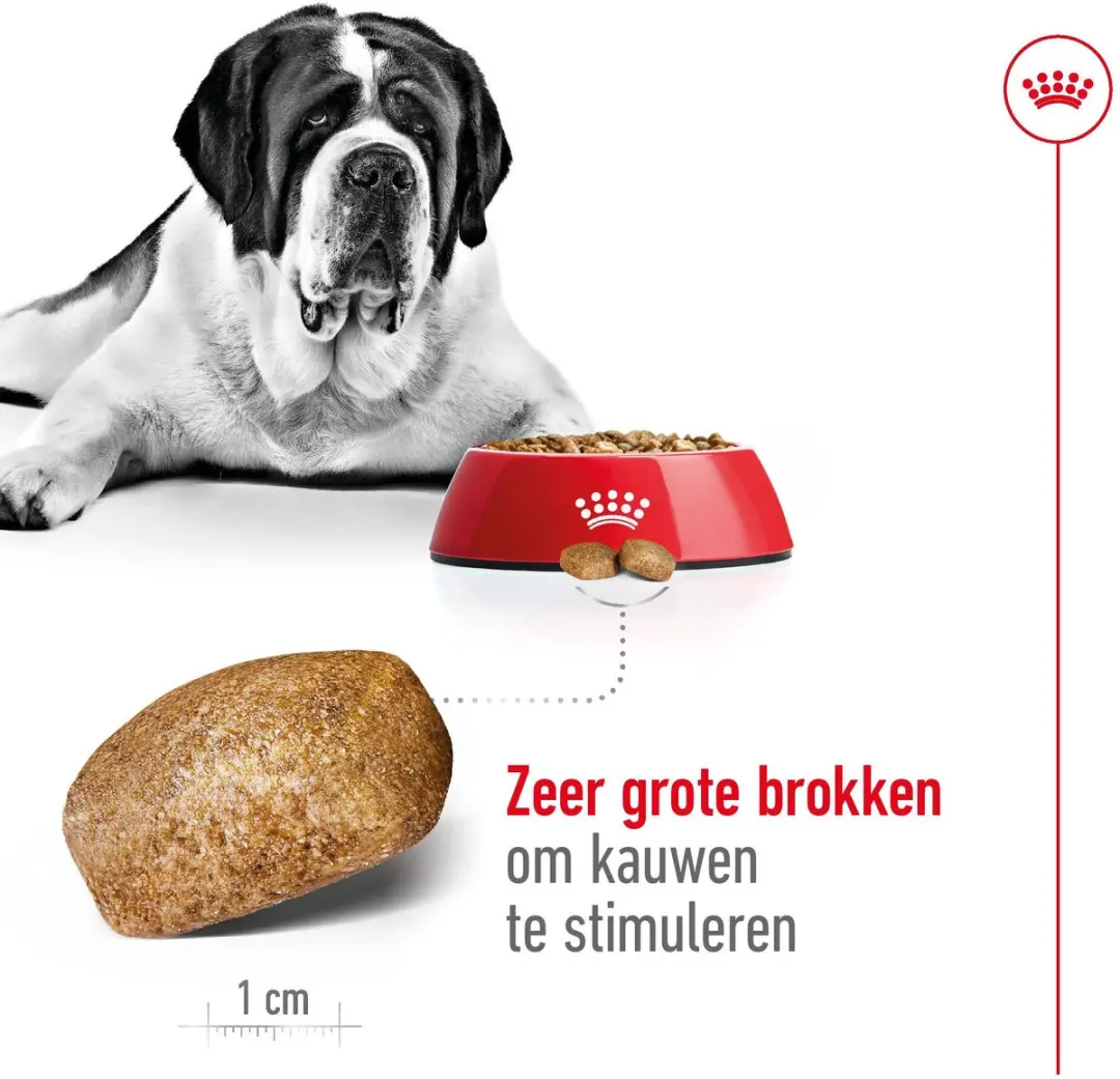 Royal Canin Giant Adult Hondenbrokken 15kg