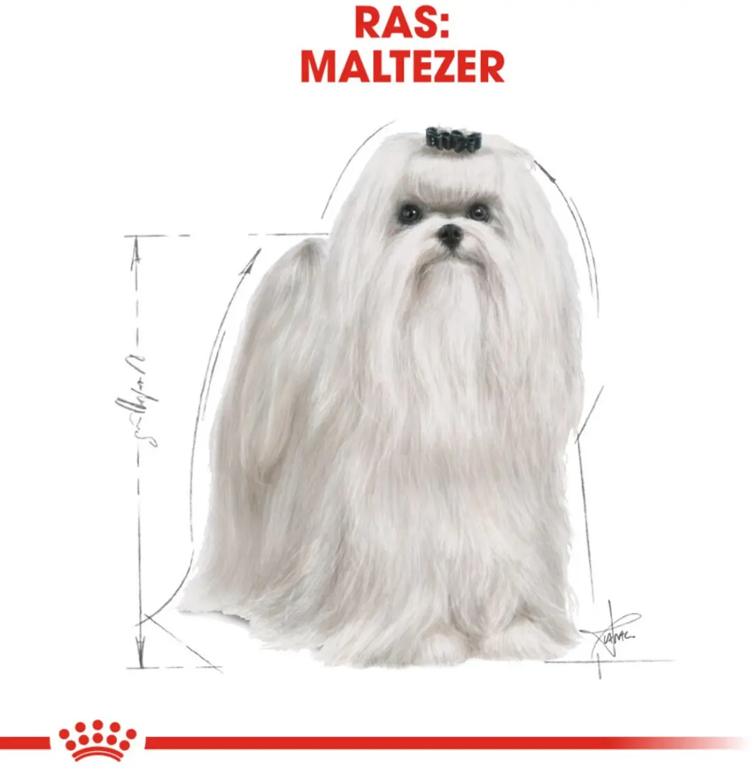 Royal Canin Maltese Adult Hondenvoer 500g