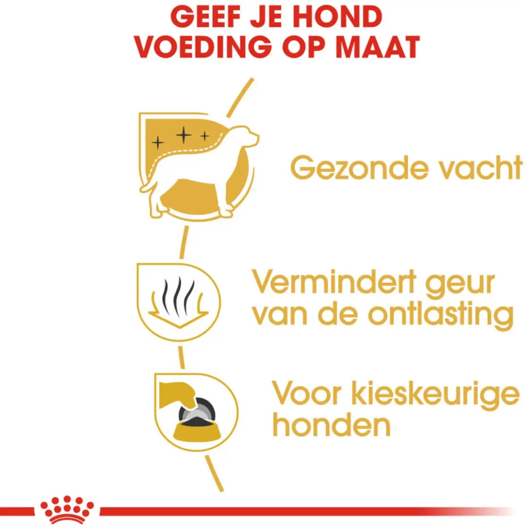Royal Canin Maltese Adult Hondenvoer 500g