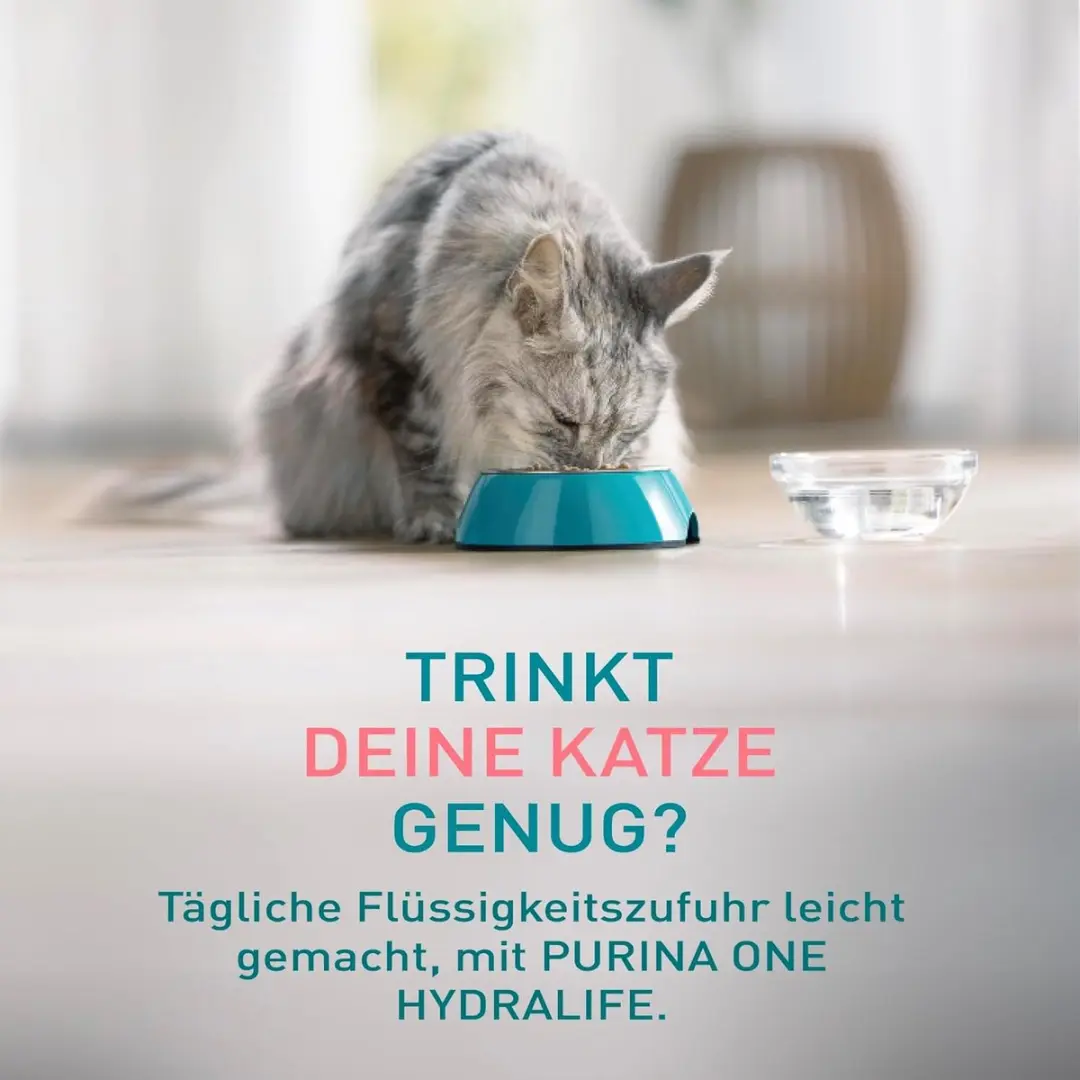 Purina ONE Hydralife Nat Kattenvoer Zalm - 6x50g - afbeelding 6 van 6