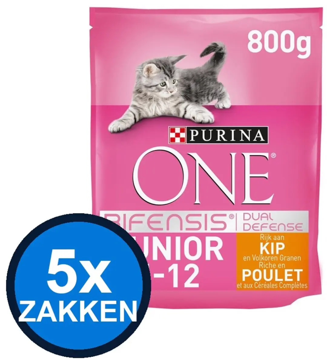 Purina ONE Junior Kip Kattenvoer Droogvoer 4kg