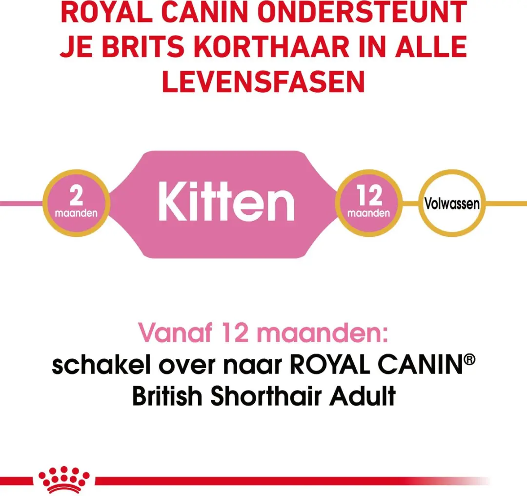 Royal Canin British Shorthair Kitten - 2x10kg