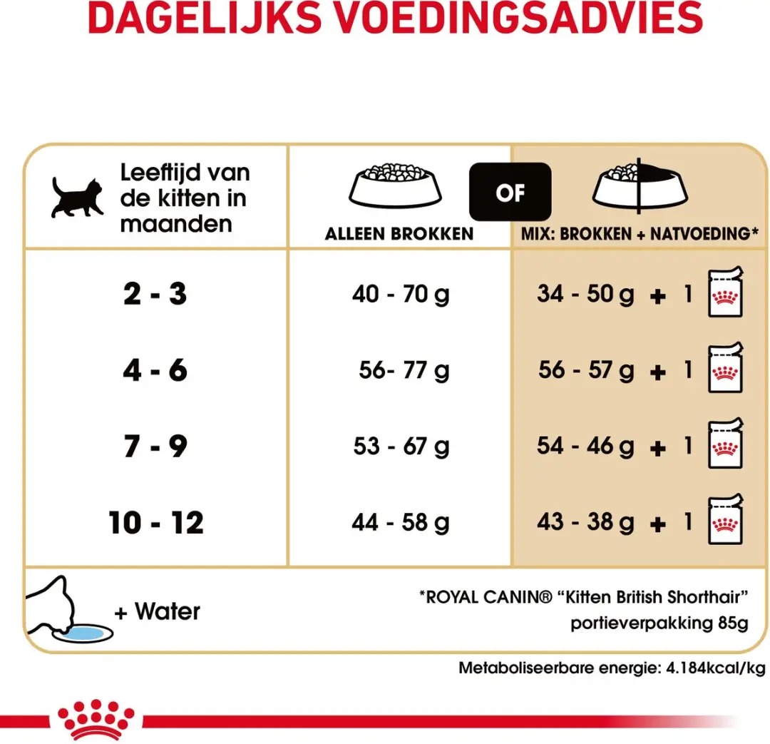 Royal Canin British Shorthair Kitten - 2x10kg
