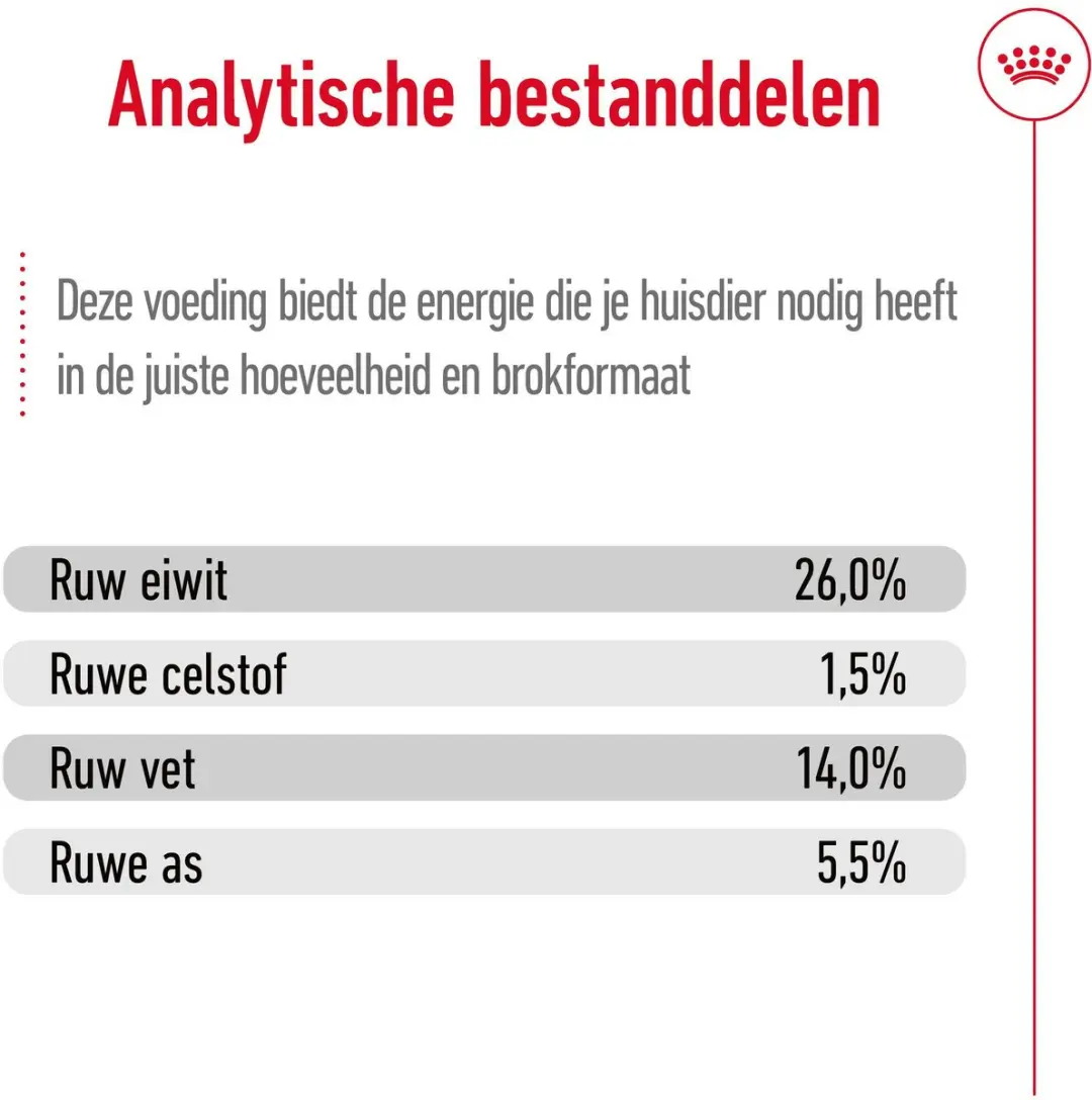Royal Canin Mini Ageing 12+ Hondenvoer - 800g