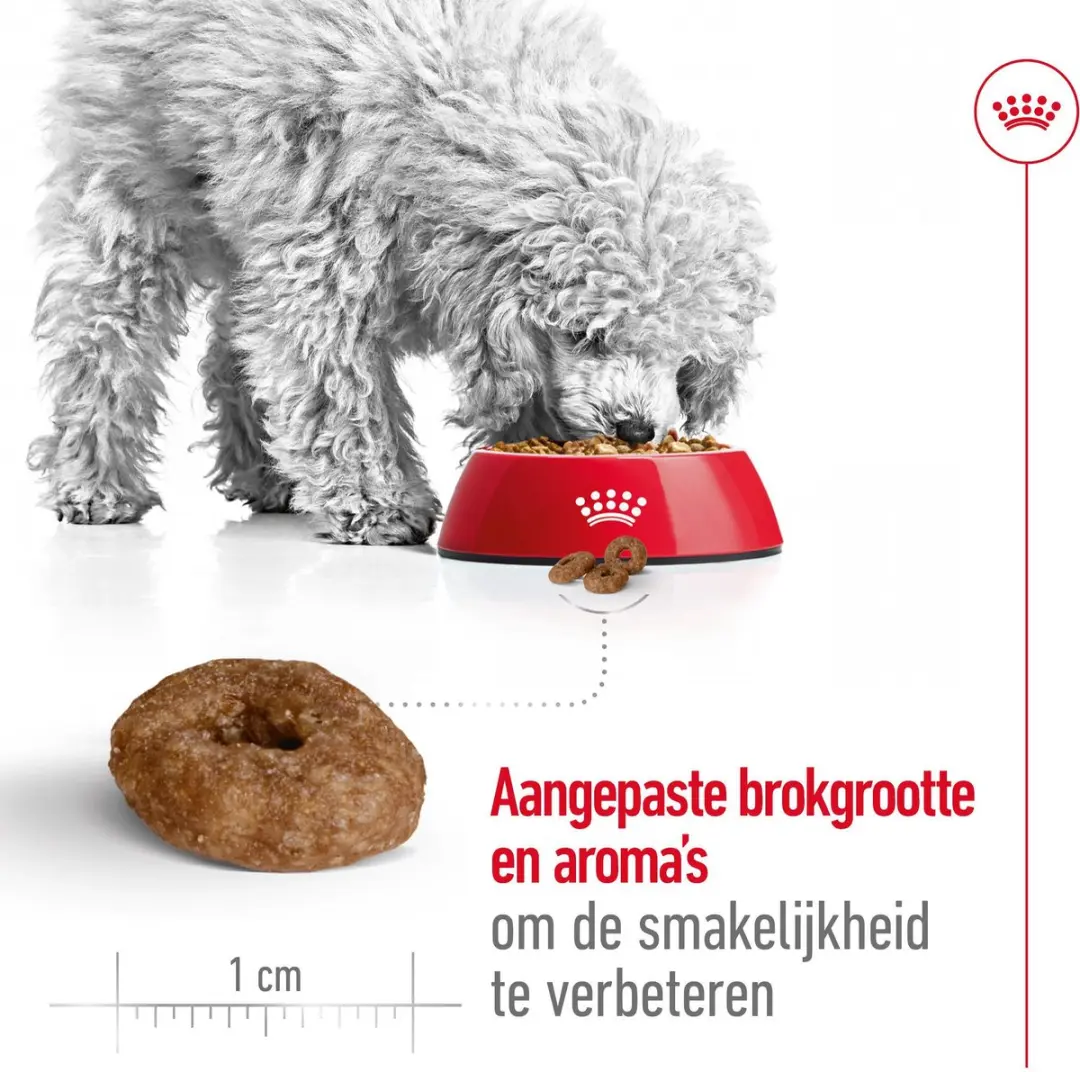 Royal Canin Mini Ageing 12+ Hondenvoer - 800g