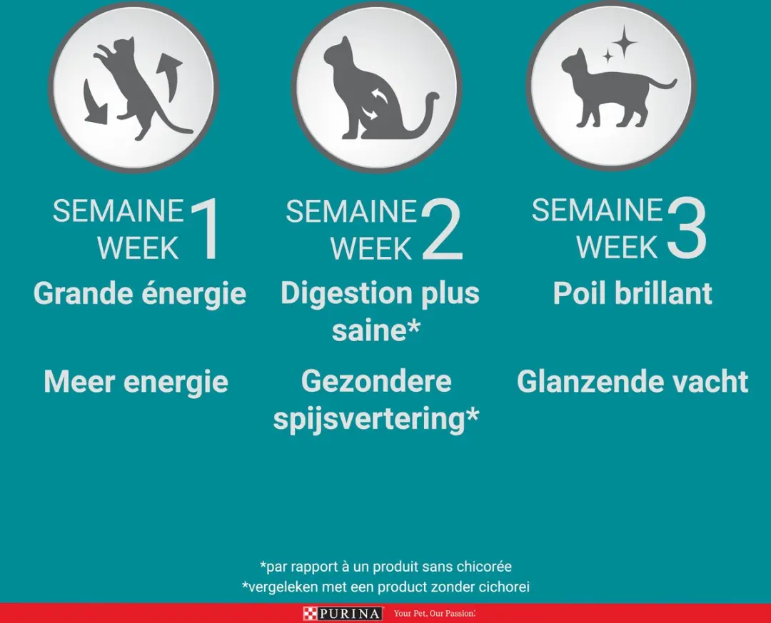 Purina ONE Sterilcat Rund/Granen Kattenvoer 800g