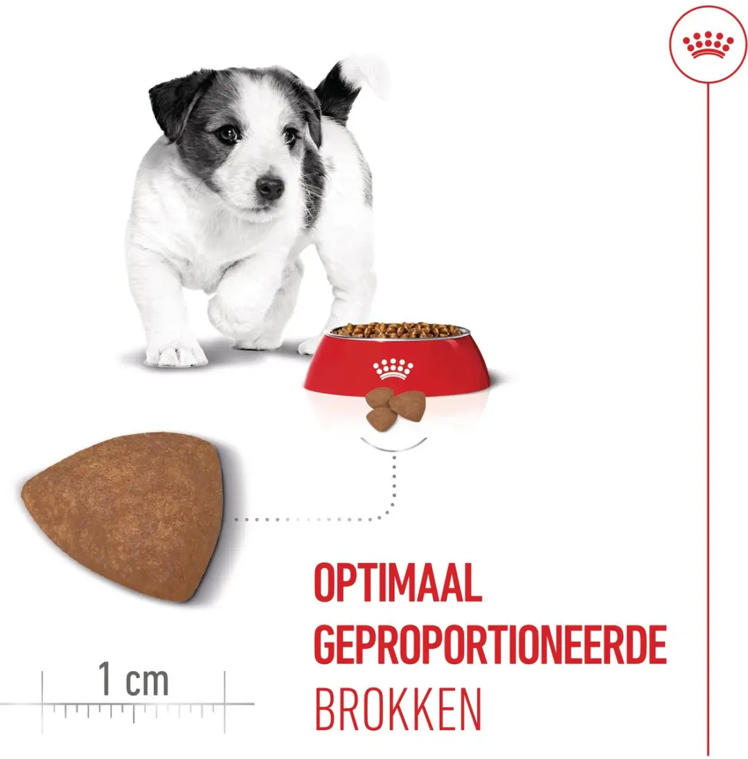 Royal Canin Mini Puppy Combi Bundel - 4kg + 12x85g