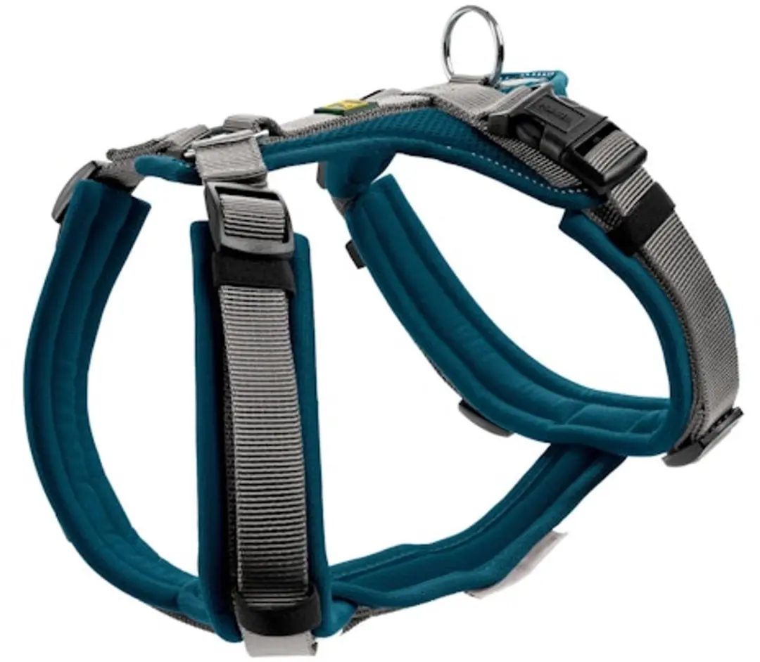 Hunter Maldon Up Harnas - 37-53 cm - Teal/Grijs