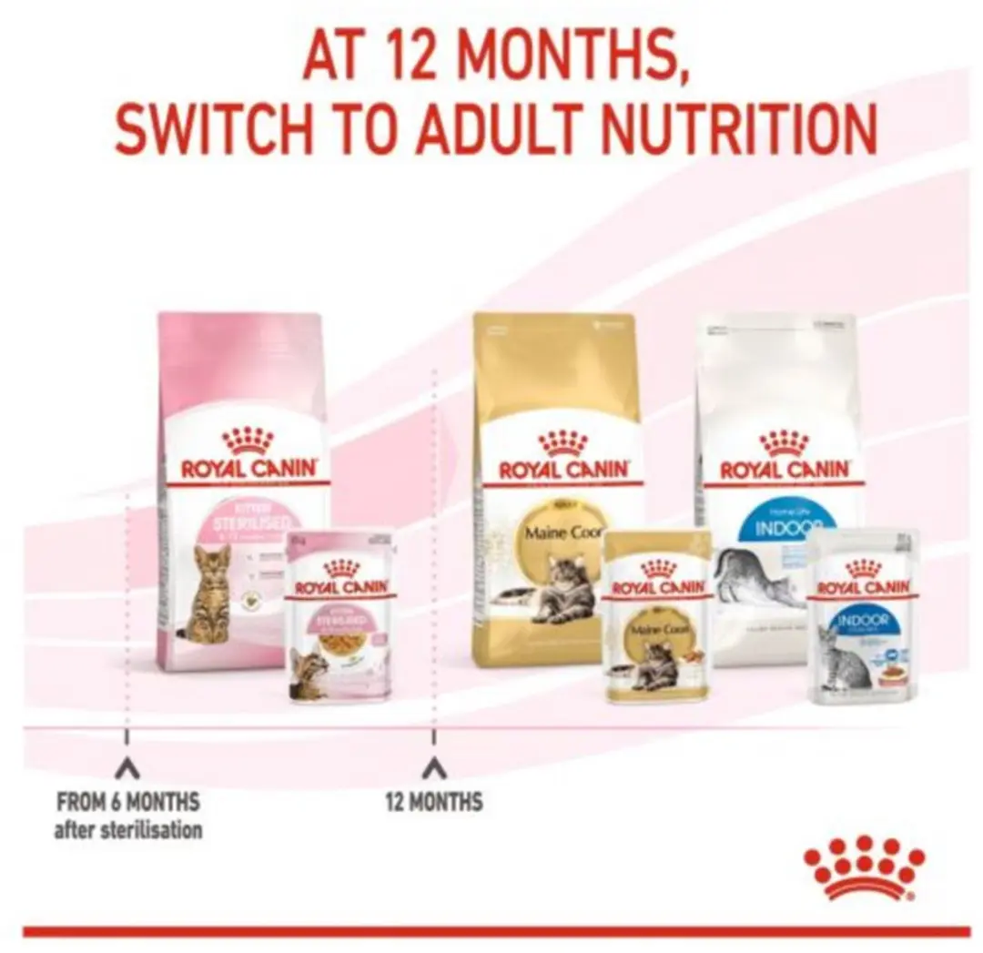 Royal Canin Kitten Sterilised Jelly - 8x12x85g