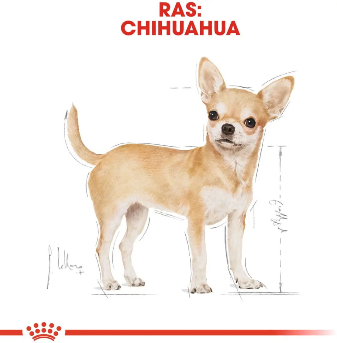 Royal Canin Chihuahua Adult Hondenvoer 500g