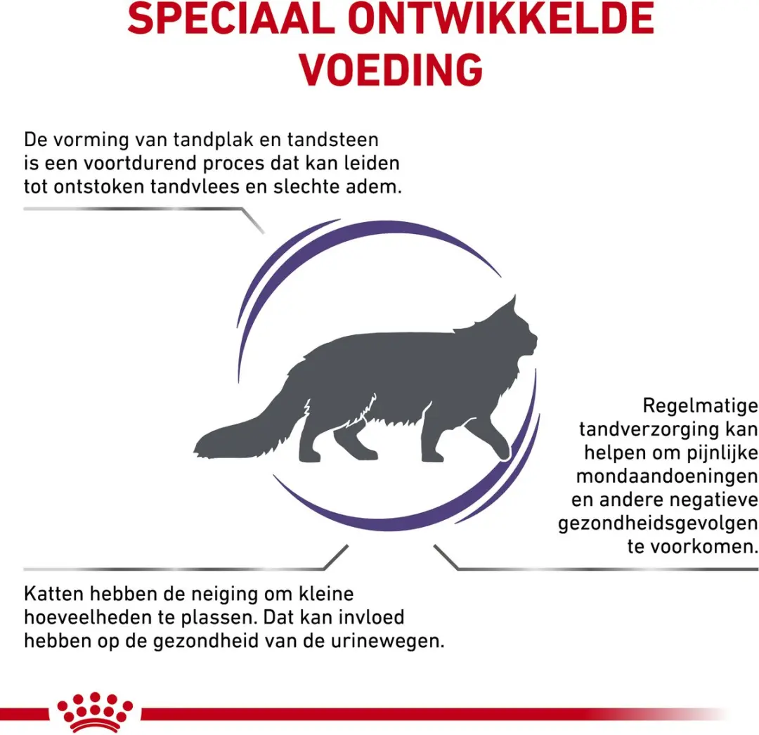 Royal Canin Dental Kat 2x3kg