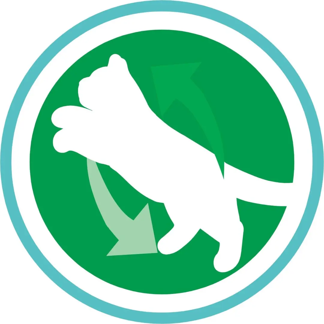 Purina ONE Indoor Kalkoen Volkoren Granen Brokjes 1,5 kg