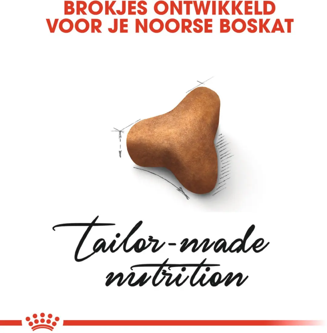 Royal Canin Norwegian Forest Cat Adult Kattenvoer 2kg