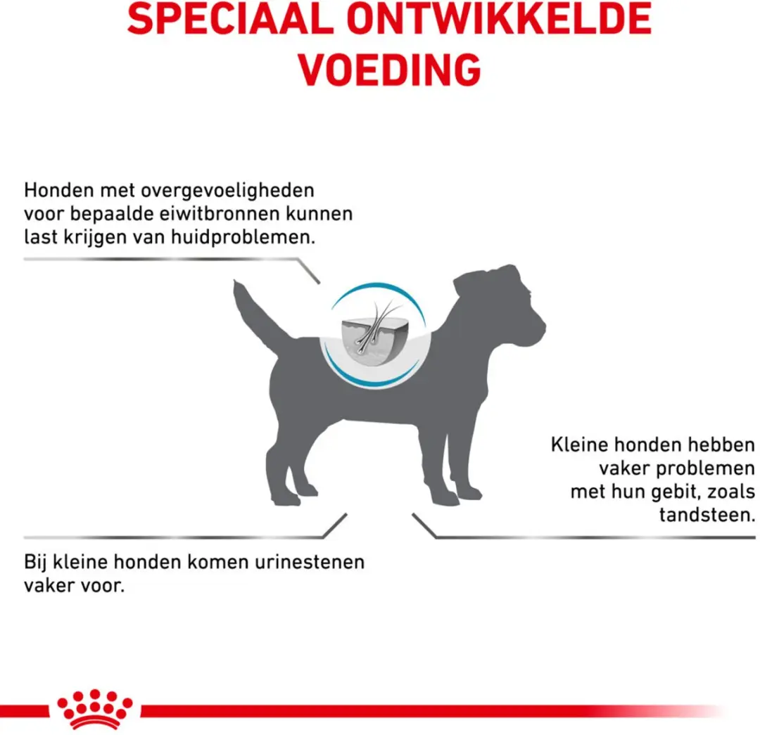 Royal Canin Hypoallergeen Small Hondenvoer Droog 1kg