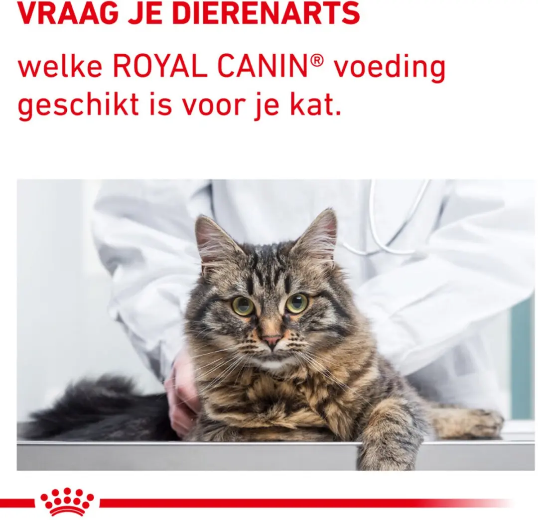 Royal Canin Nat Mature Kattenvoer - 12x85g
