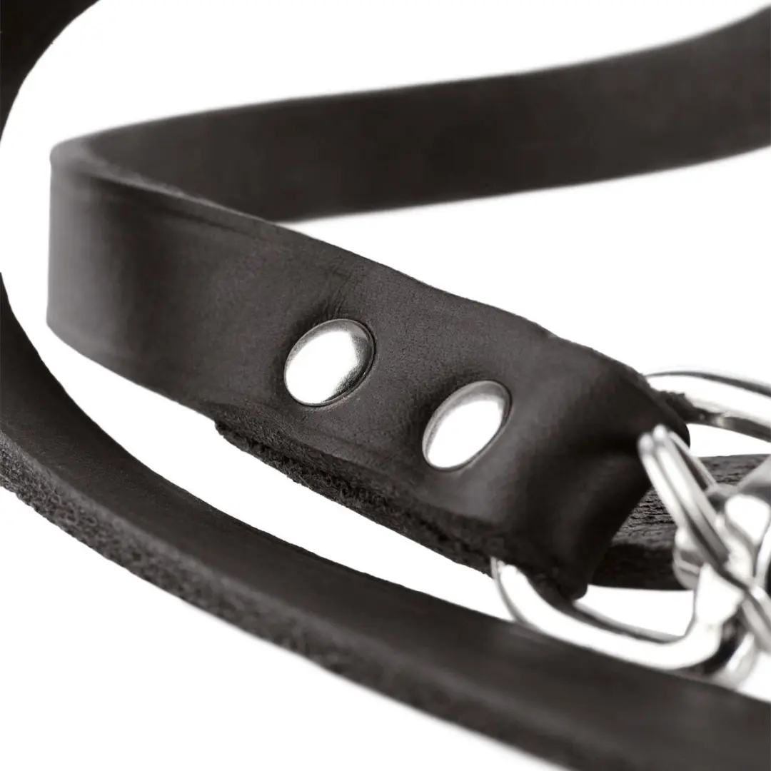Hunter Verstelbare Hondenriem Leder - 200x1,3cm Zwart