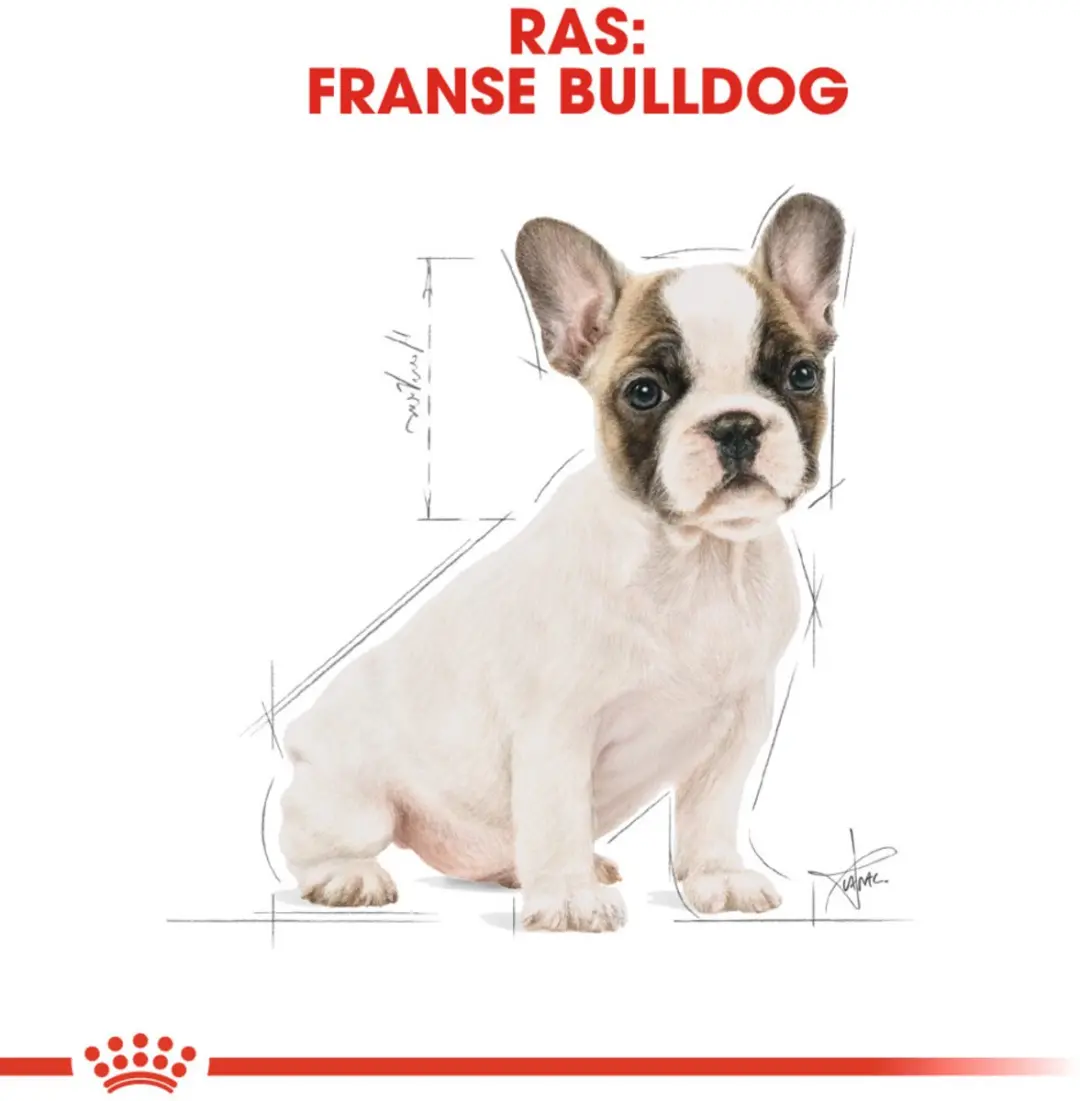 Royal Canin French Bulldog Puppy Hondenvoer - 12 kg