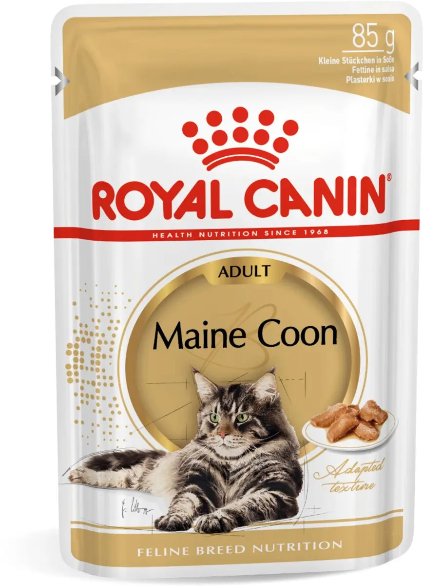 Royal Canin Maine Coon Adult Kattenvoer - 12x85g