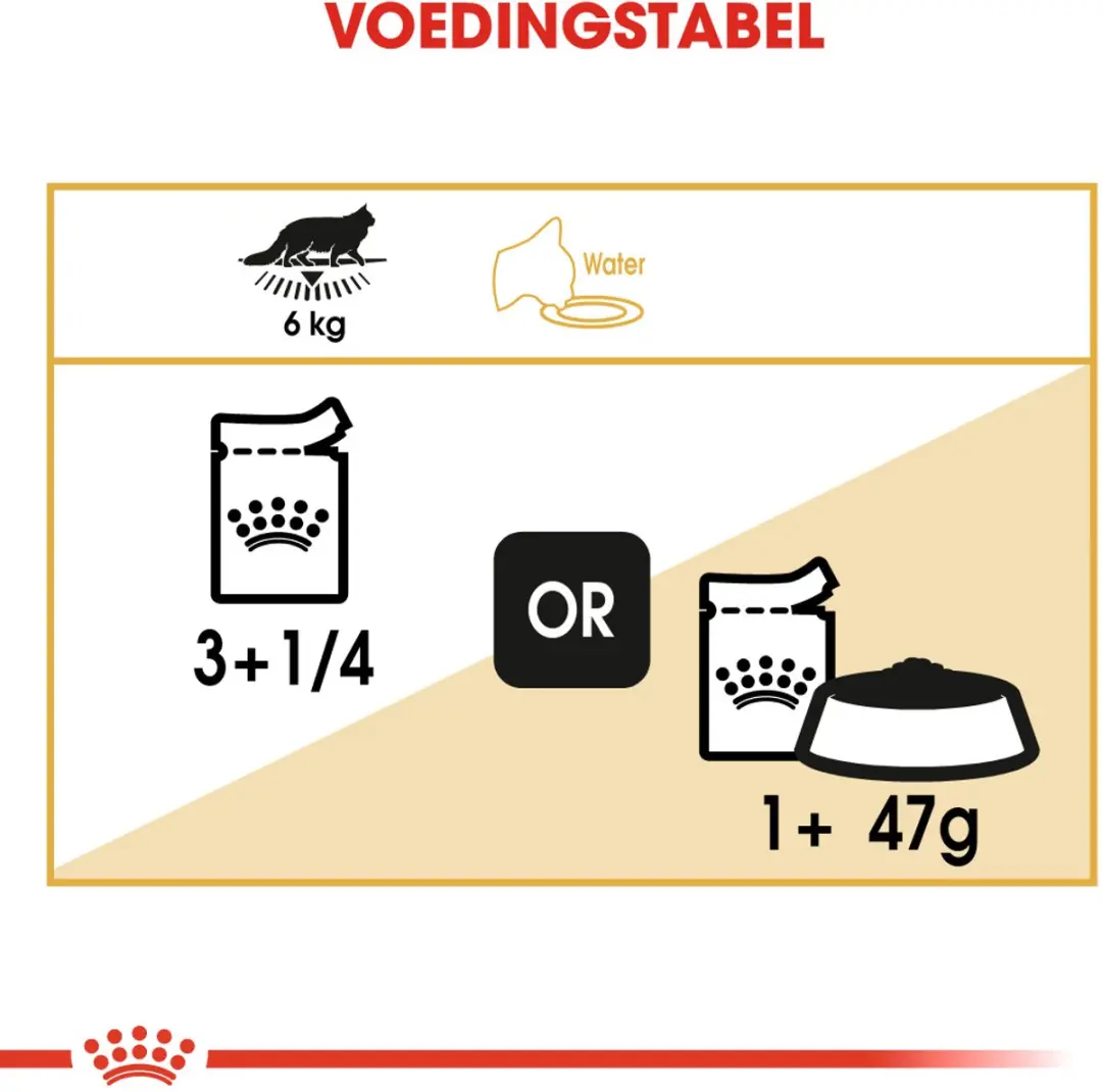 Royal Canin Maine Coon Adult Kattenvoer - 12x85g