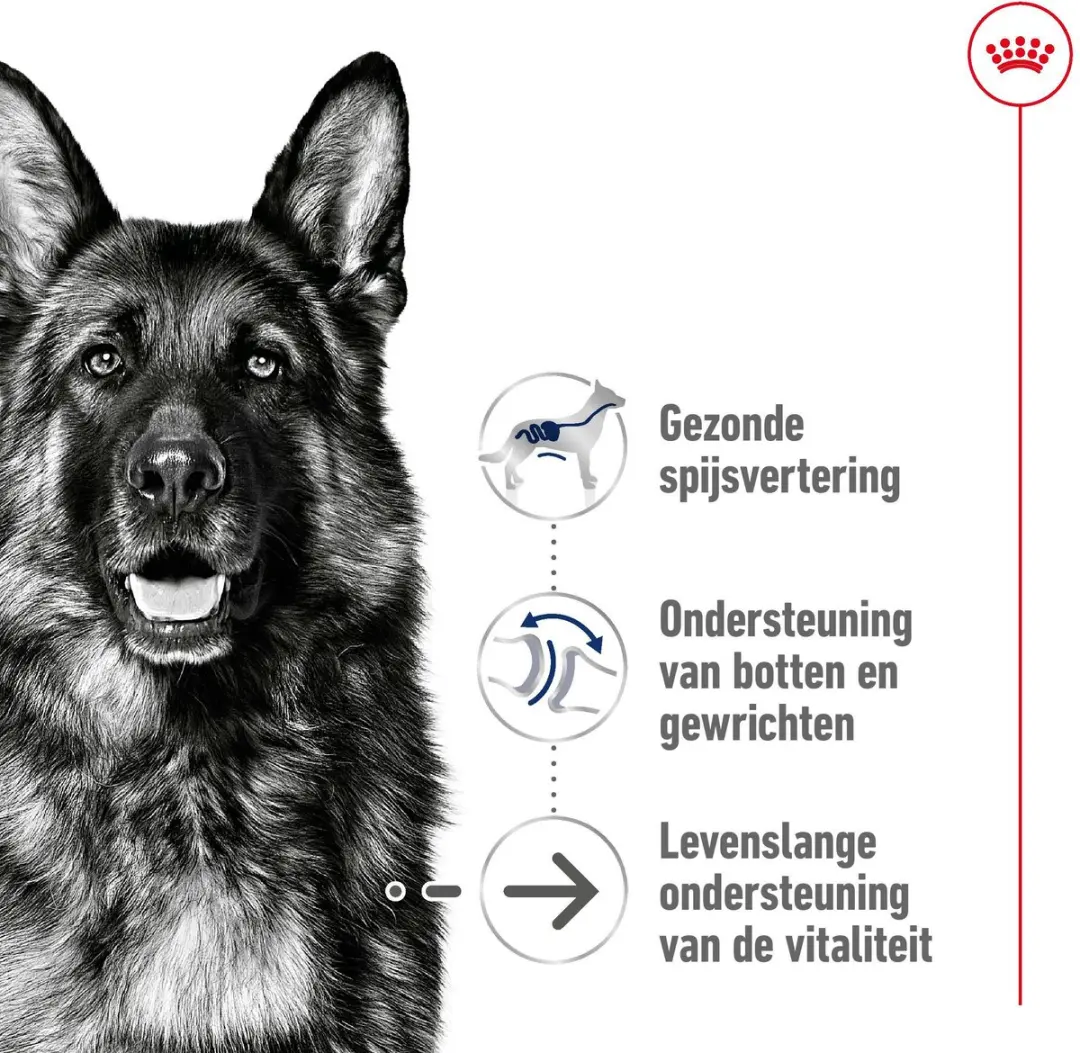 Royal Canin Maxi Ageing Hondenbrokken 15kg
