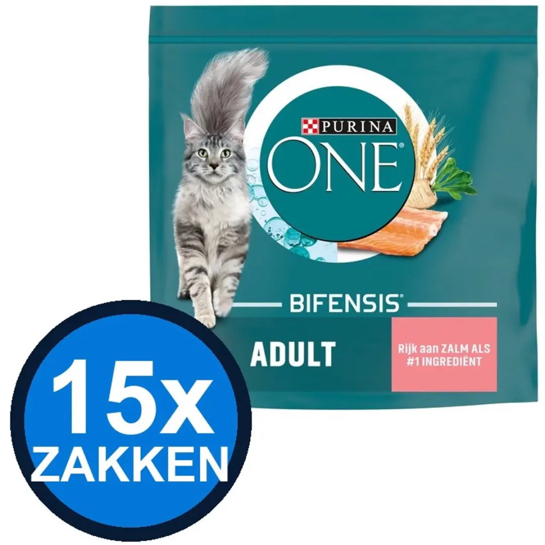 Purina ONE Adult Zalm Kattenvoer Droogvoer 12kg (15x800g)