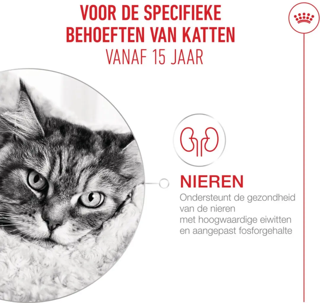 Royal Canin Feline Health Nutrition Ageing 15+ Kattenvoer 400g - afbeelding 6 van 6