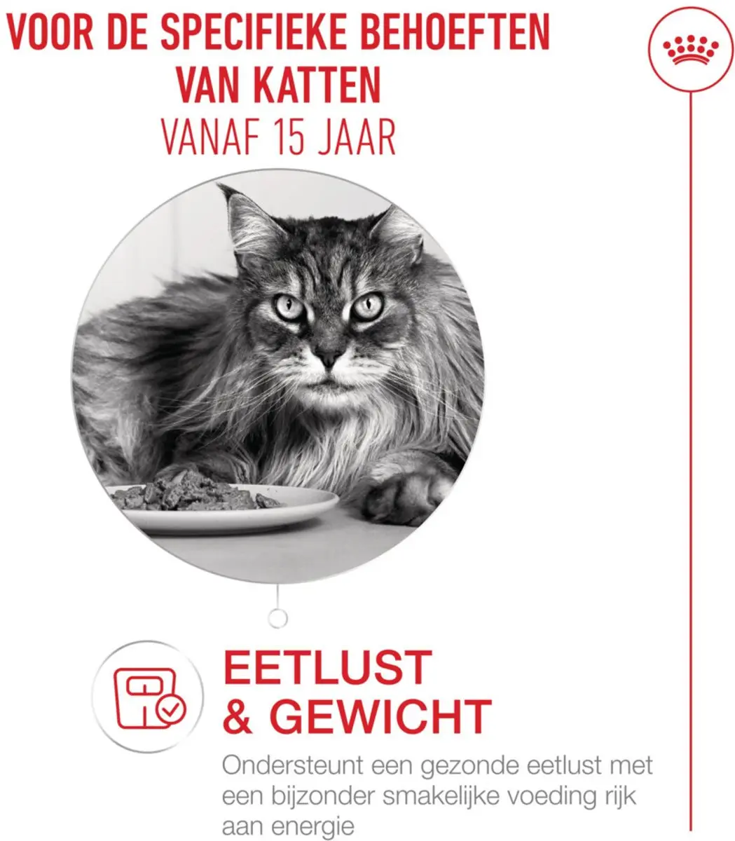 Royal Canin Feline Health Nutrition Ageing 15+ Kattenvoer 400g