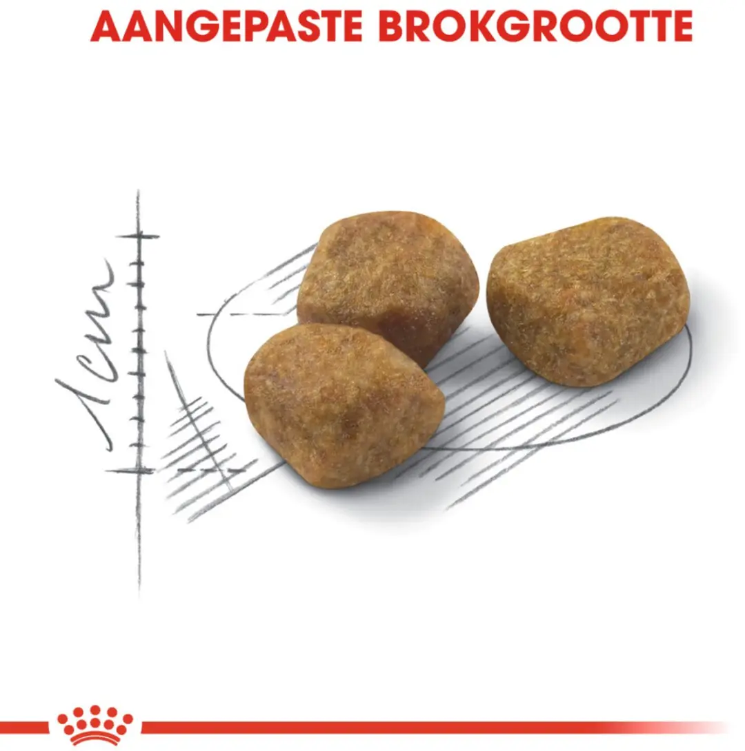 Royal Canin Indoor 7+ Kattenvoer - 6x1,5kg