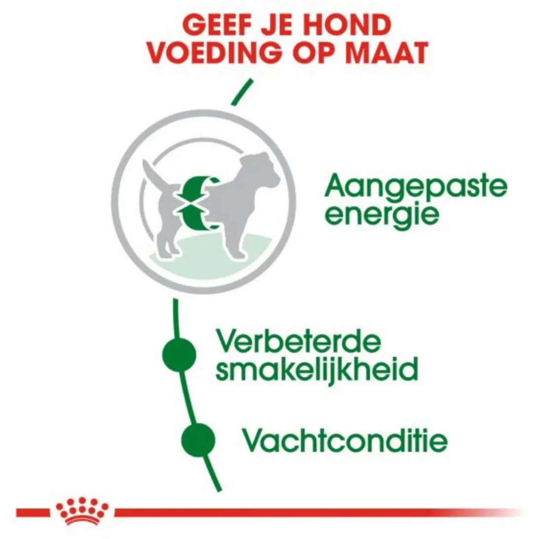 Royal Canin Mini Adult Hondenvoer - 9 kg