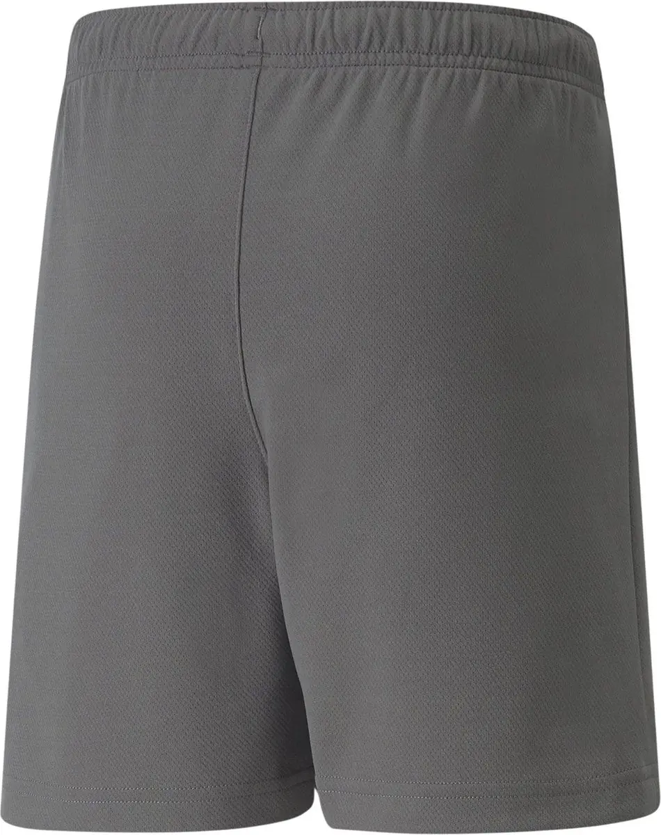 PUMA TeamRISE Short Junior 140 - Grijs