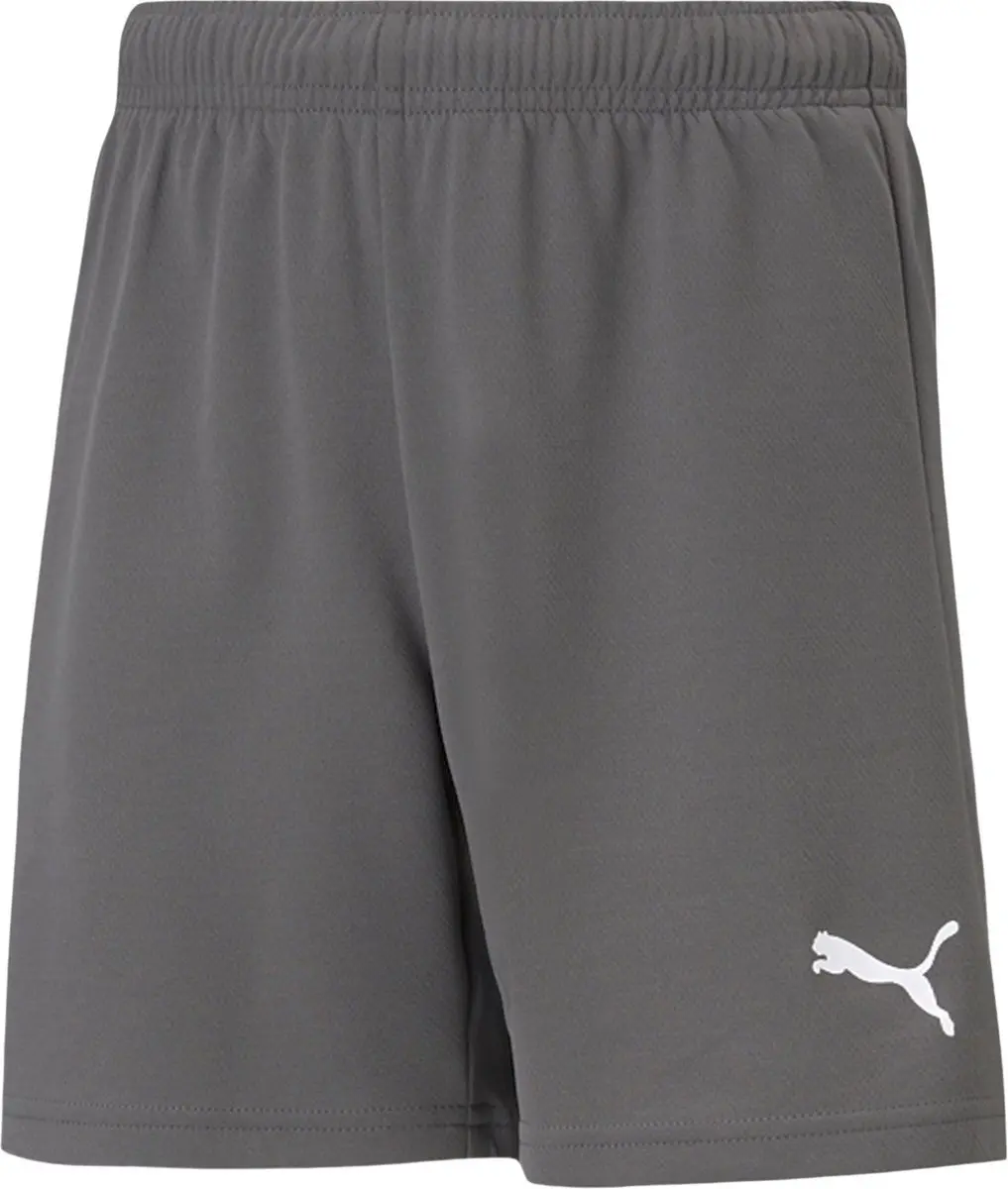 PUMA TeamRISE Short Junior 140 - Grijs