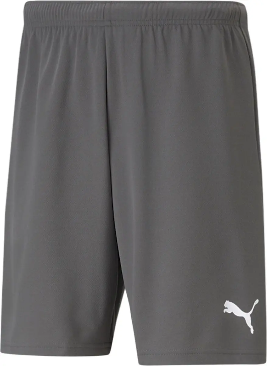 PUMA TeamRISE Short Junior 140 - Grijs
