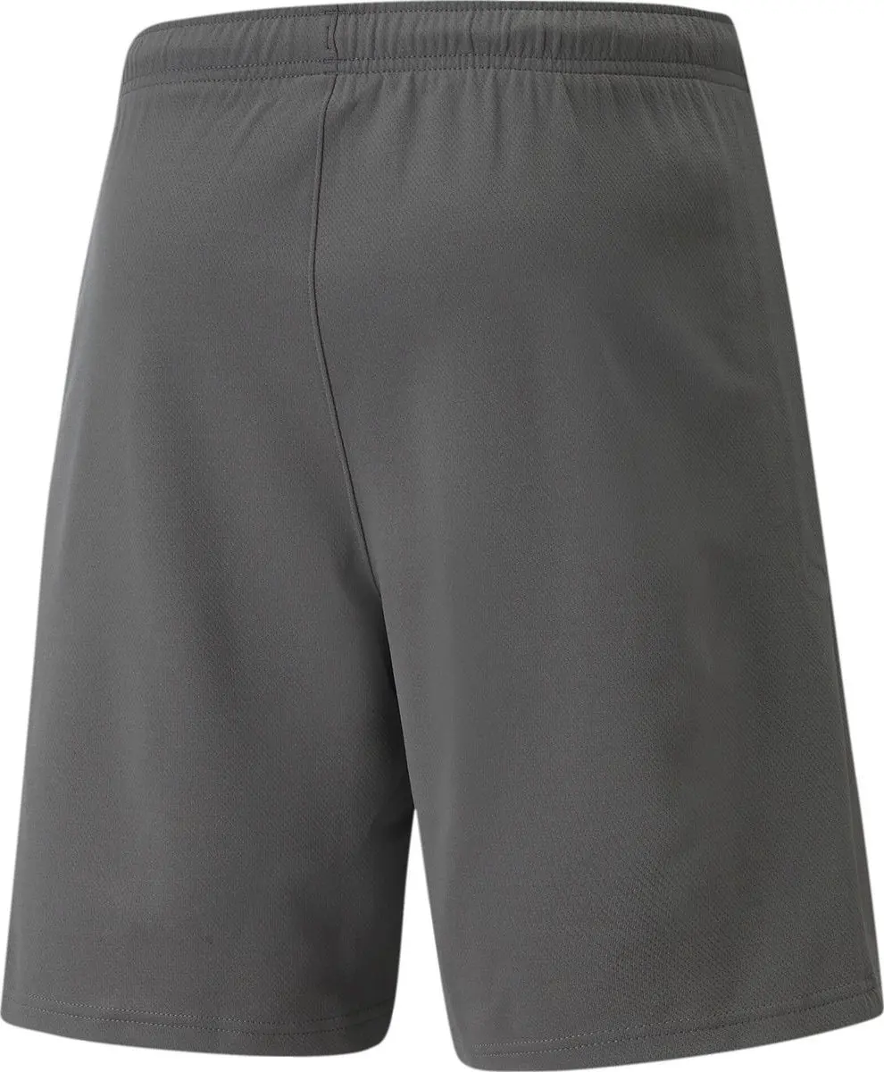 PUMA TeamRISE Short Junior 140 - Grijs