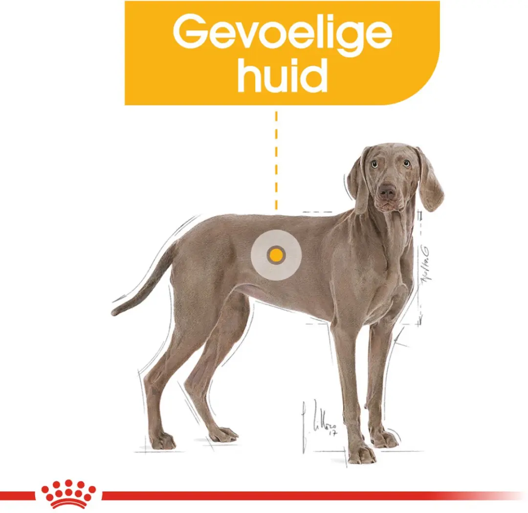 Royal Canin Dermacomfort Maxi Hondenvoer 3kg