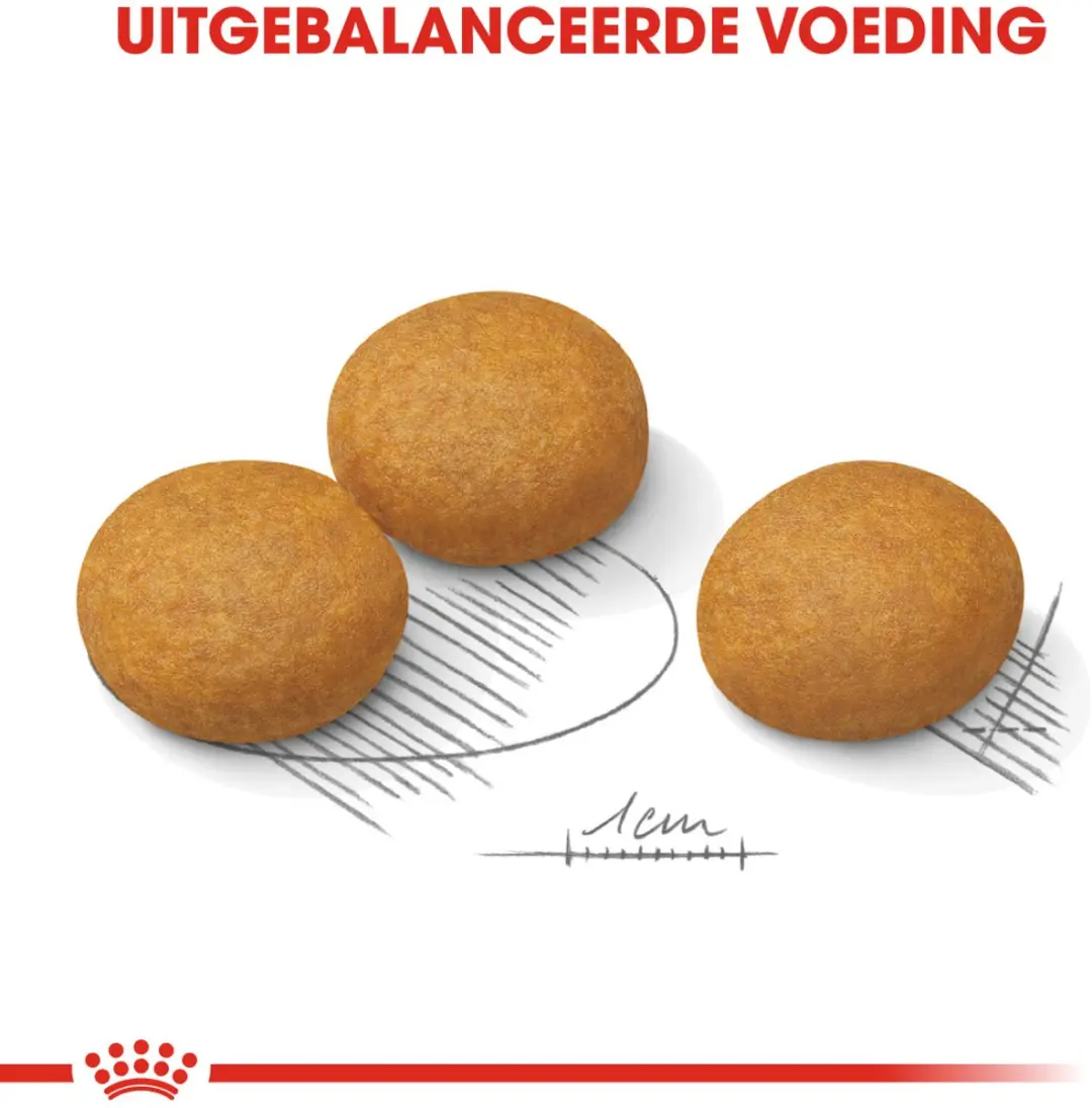 Royal Canin Dermacomfort Maxi Hondenvoer 3kg - afbeelding 6 van 6
