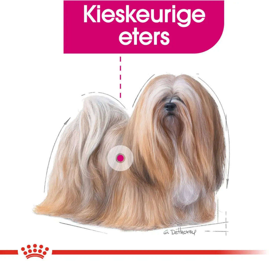 Royal Canin Exigent Hondenvoer - 12x85g