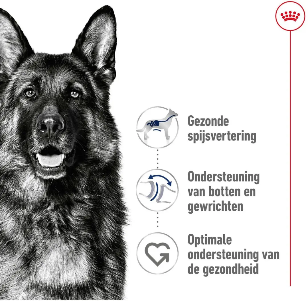 Royal Canin Maxi Adult Hondenvoer 18kg