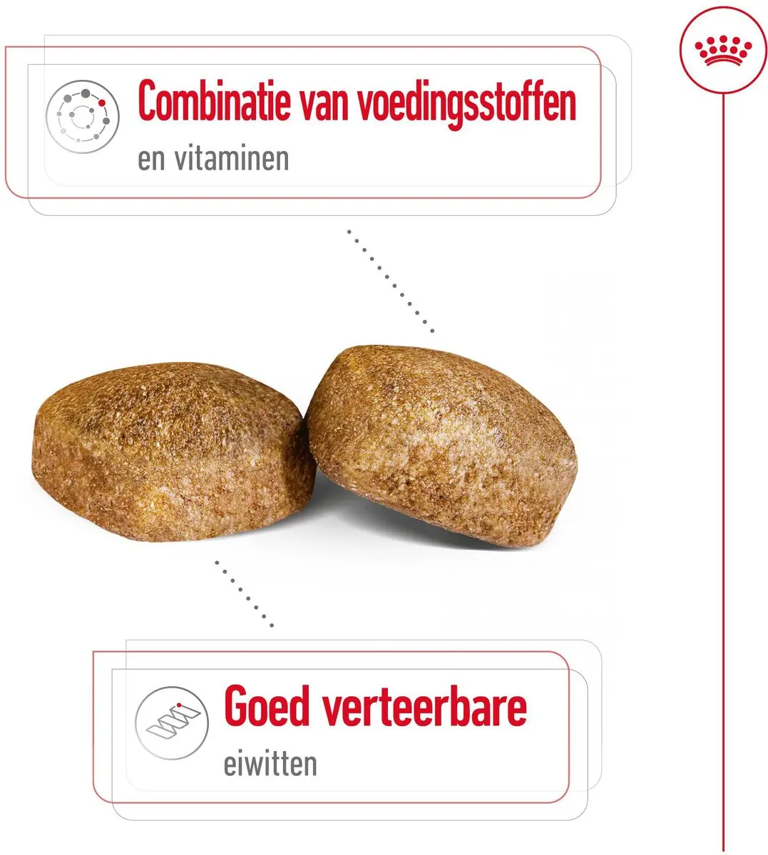 Royal Canin Giant Adult Hondenvoer 4kg