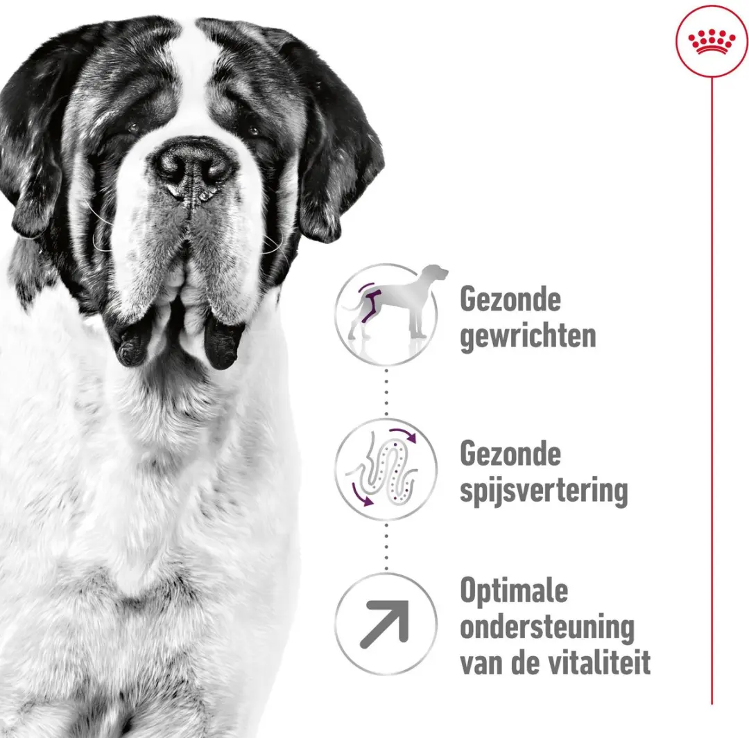 Royal Canin Giant Adult Hondenvoer 4kg