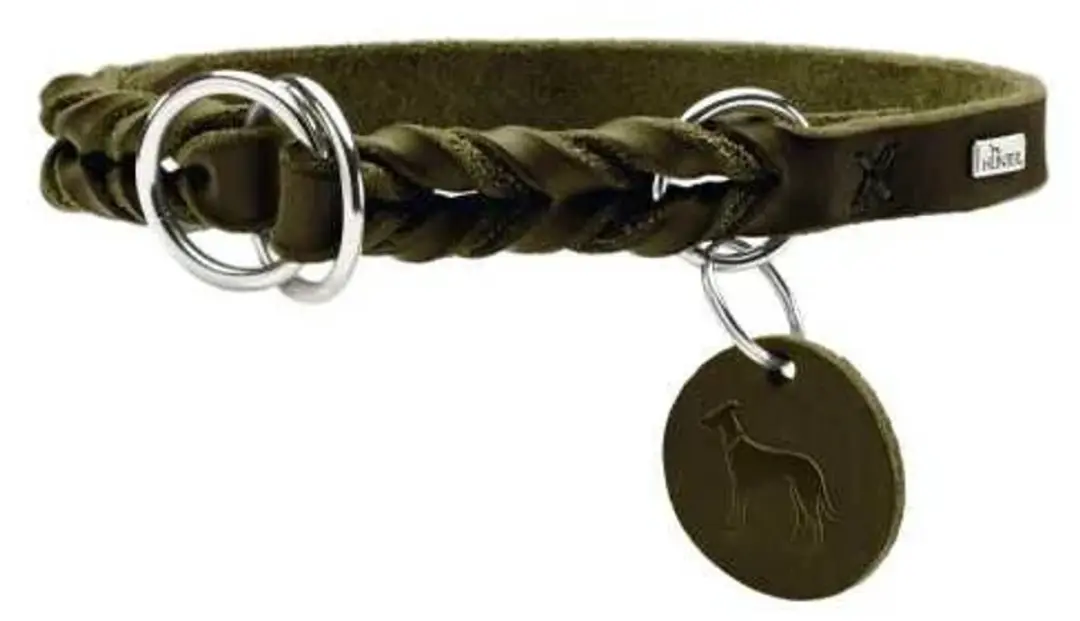 Hunter Hondenhalsband Solid Education Olive