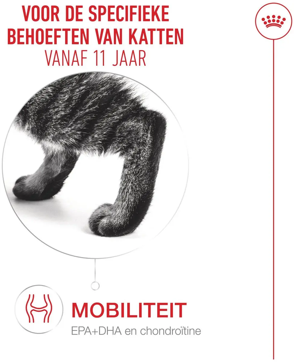 Royal Canin Feline Health Nutrition Ageing 11+ Kattenvoer 400g