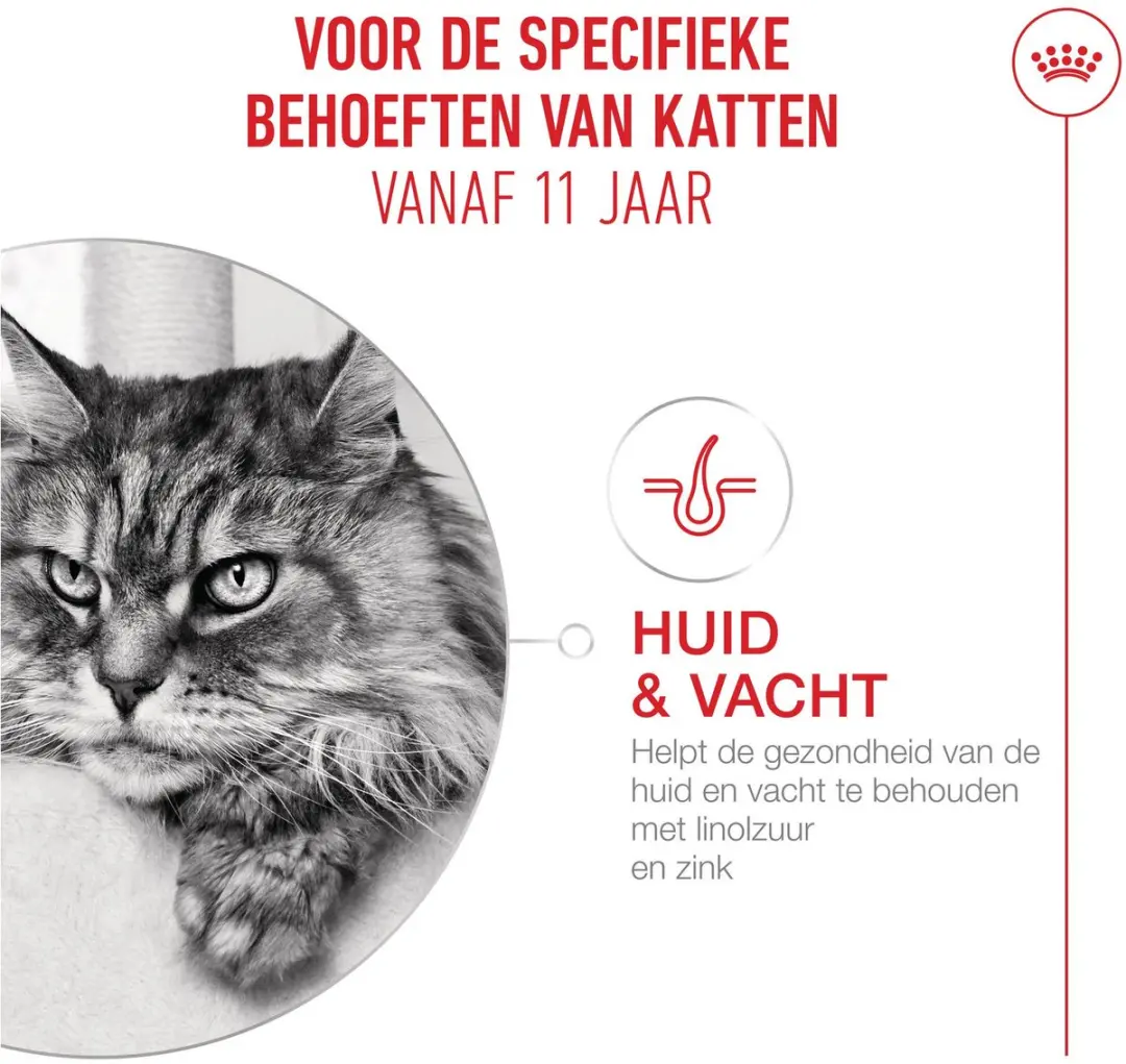 Royal Canin Feline Health Nutrition Ageing 11+ Kattenvoer 400g