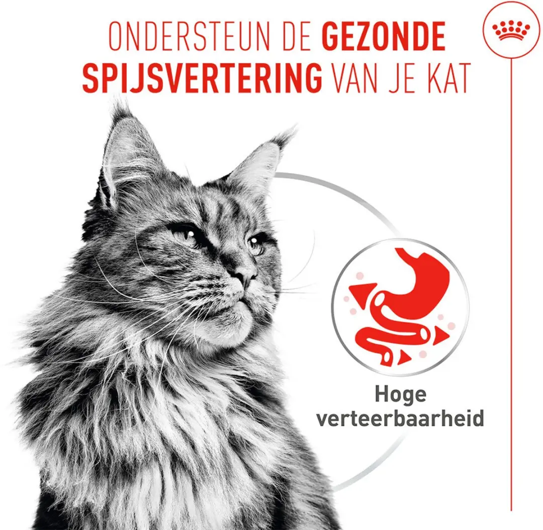 Royal Canin Digestive Care Airlift Mousse Kattenvoer - 12x85g