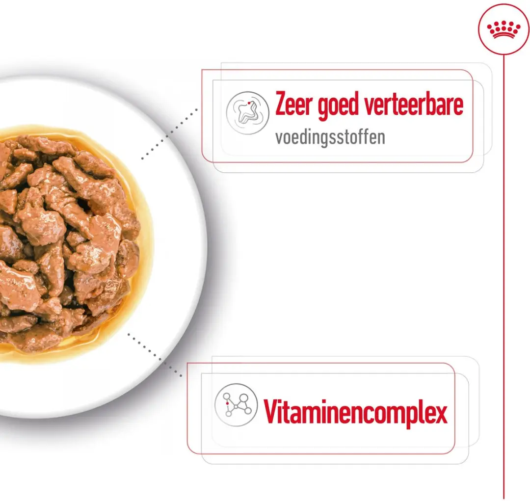 Royal Canin Mini Adult Natvoer - 36x85g
